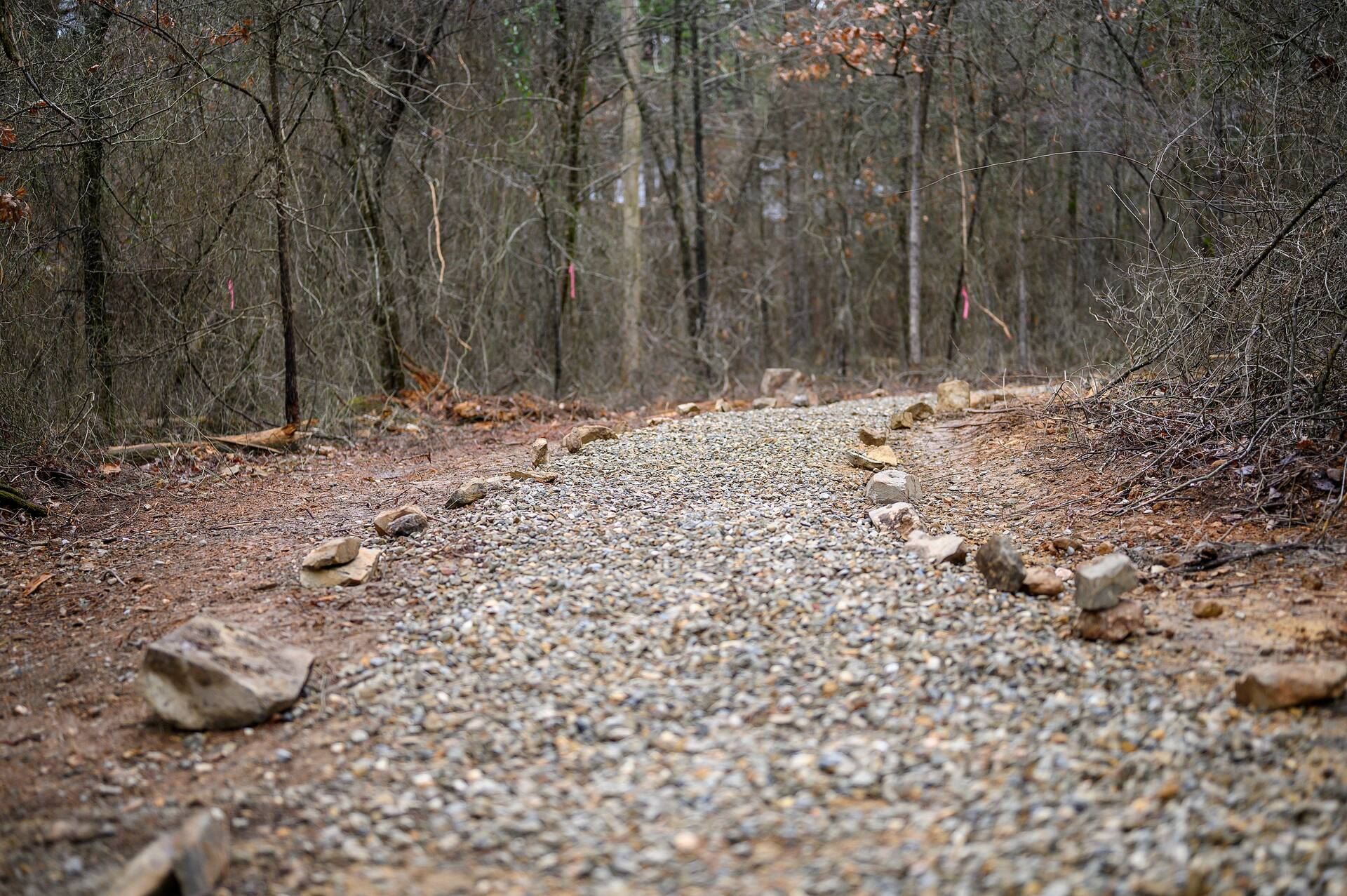 Gravel walking trail lined with stones winding through the pines