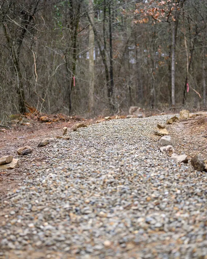 Gravel walking trail lined with stones winding through the pines